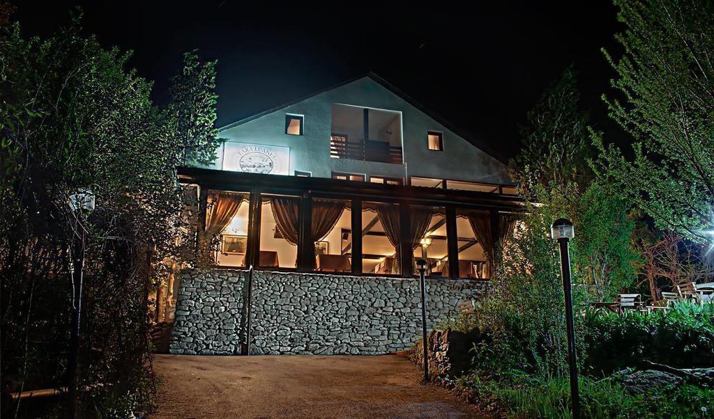 Pensiune-Restaurant Tara Luanei Sărata-Monteoru Exterior foto